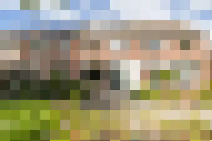 Midden Woerd 49 Naaldwijk