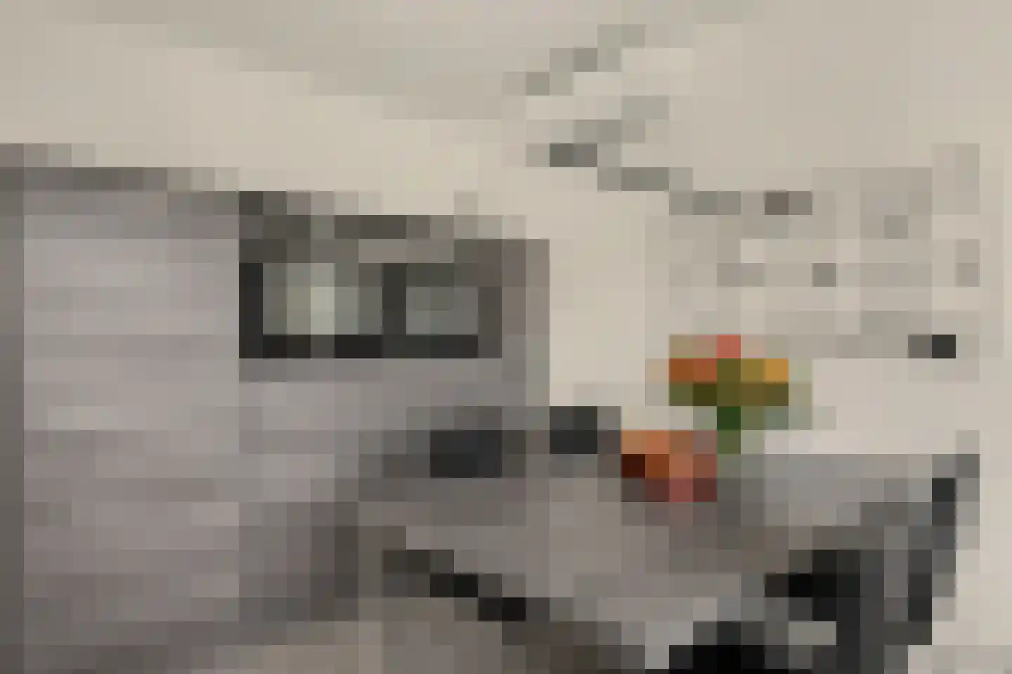 Middenakker 24 Den Hout thumbnail 17