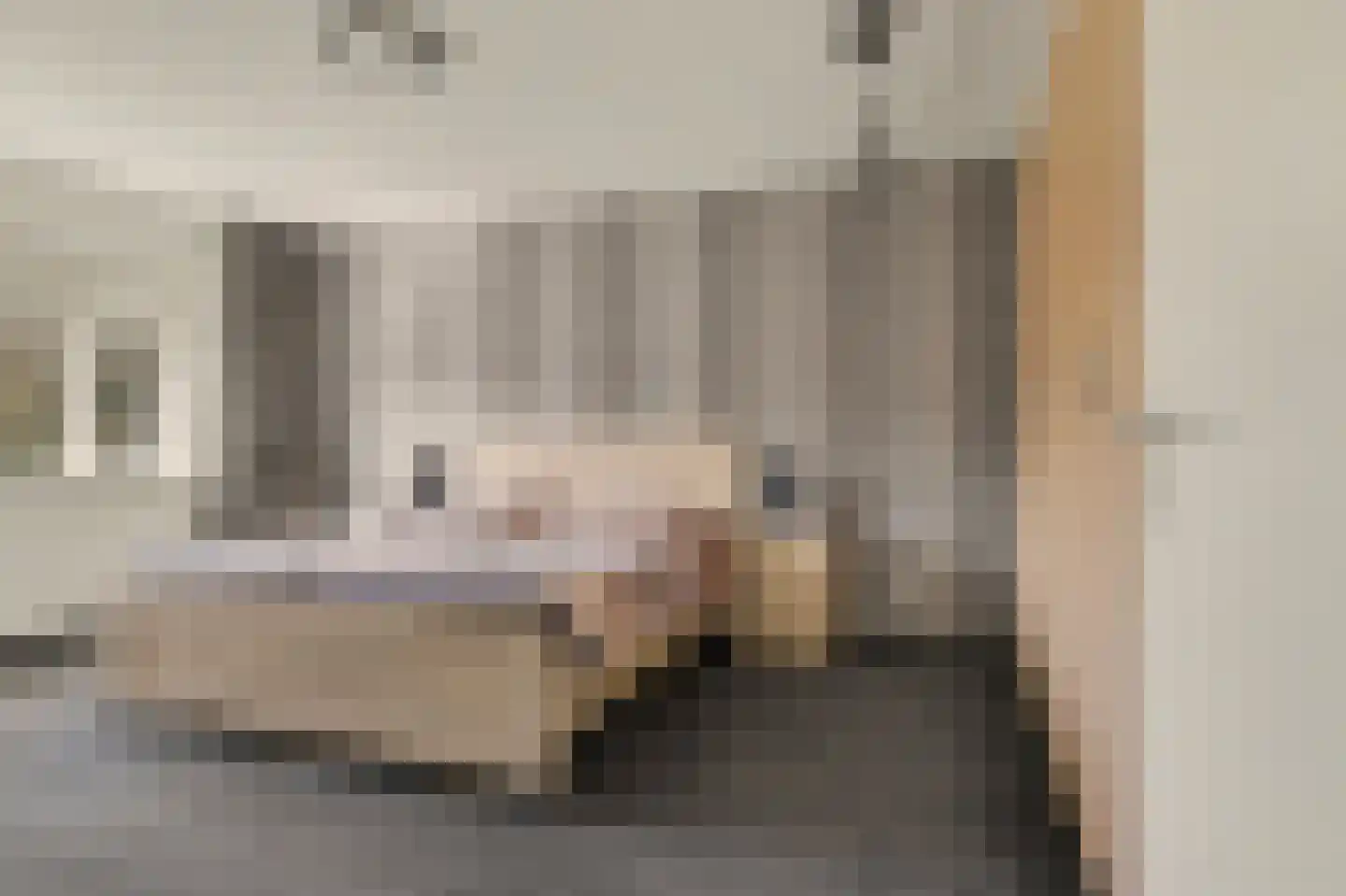 Middenakker 24 Den Hout thumbnail 29