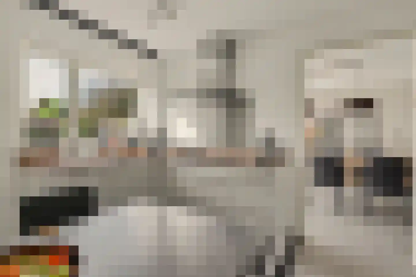 Middenakker 24 Den Hout thumbnail 4
