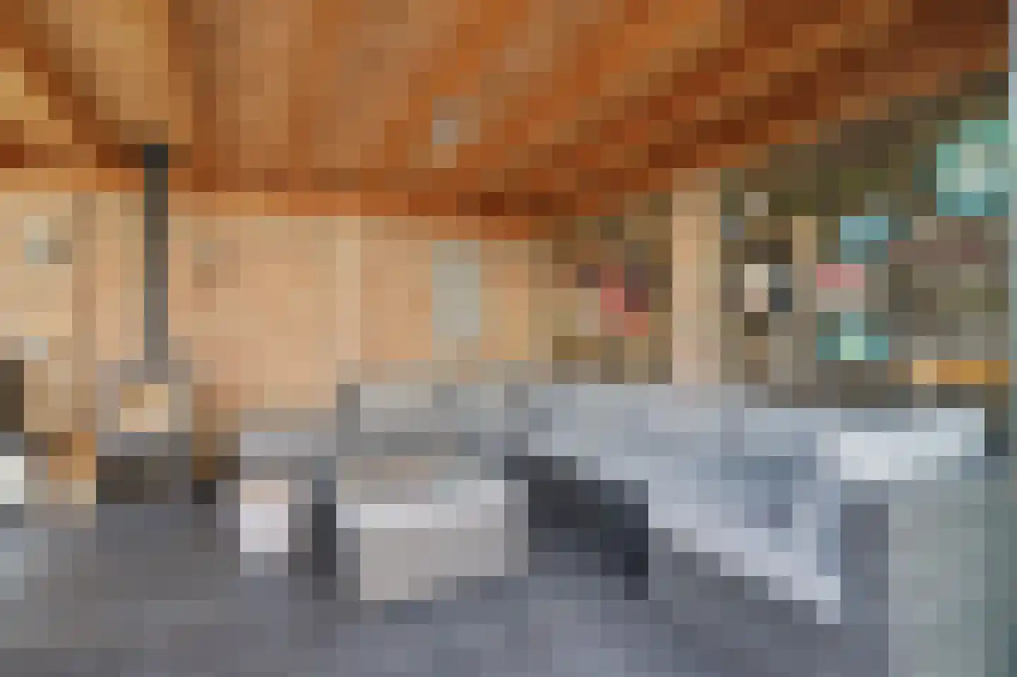 Middenakker 24 Den Hout thumbnail 43
