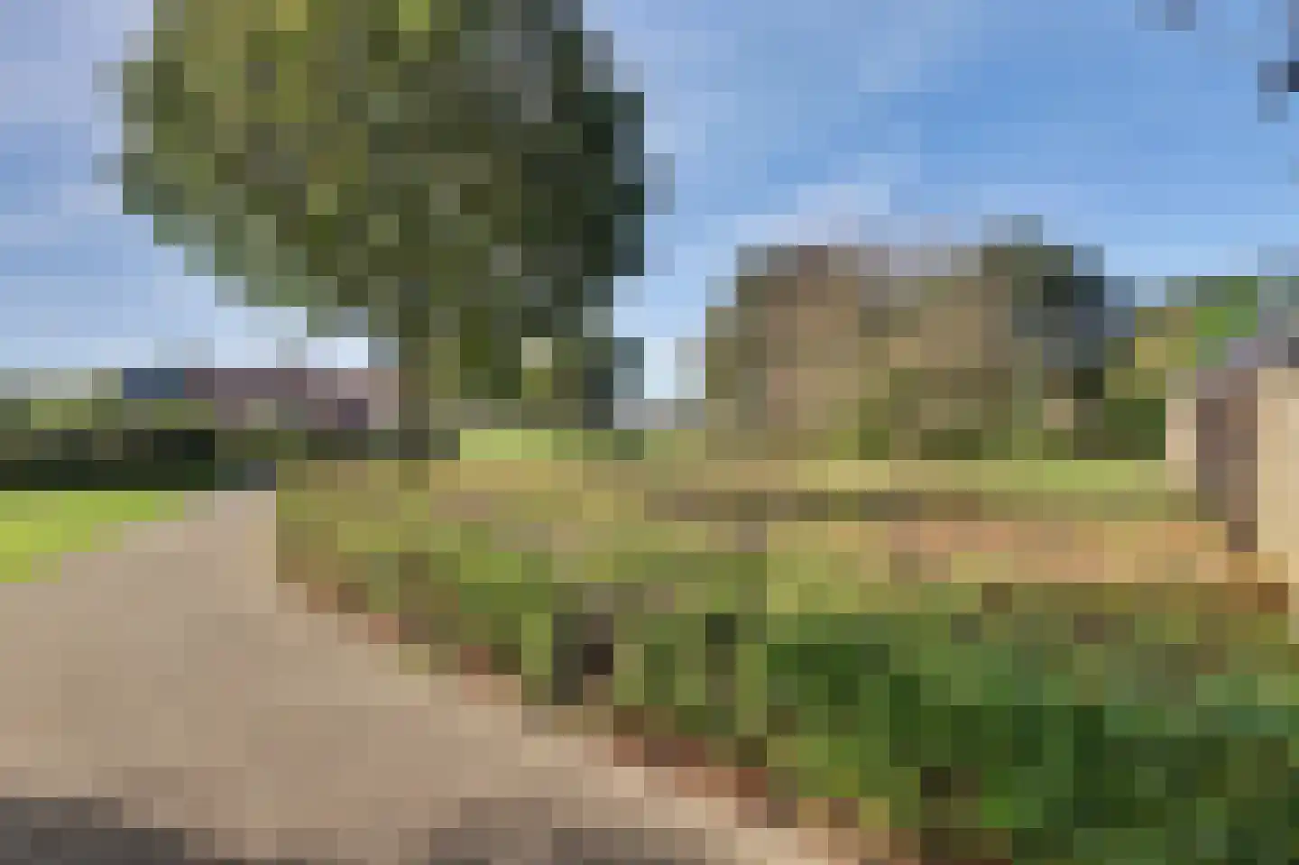 Middenakker 24 Den Hout thumbnail 56