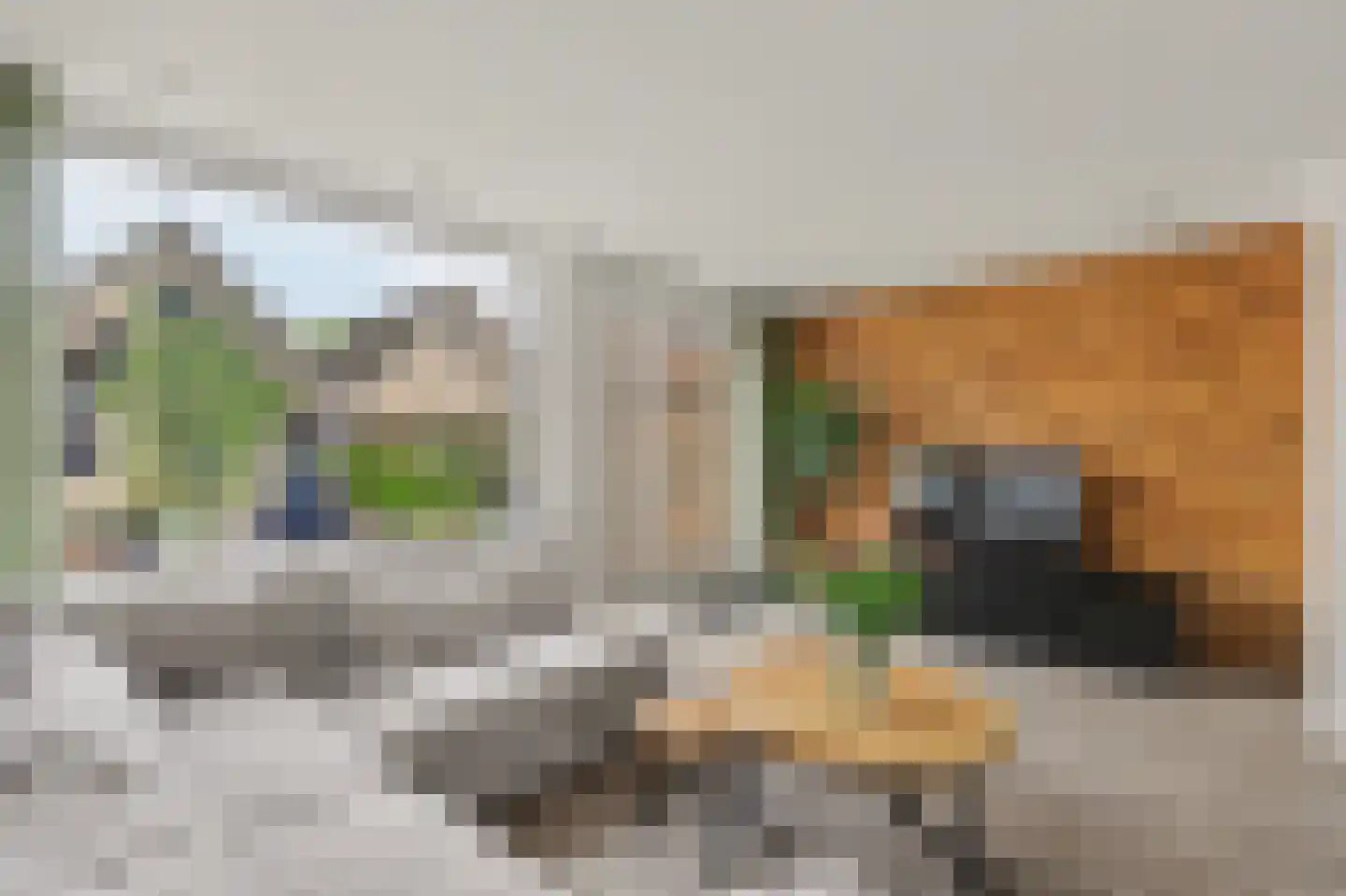 Middenakker 3 Den Hout thumbnail 15