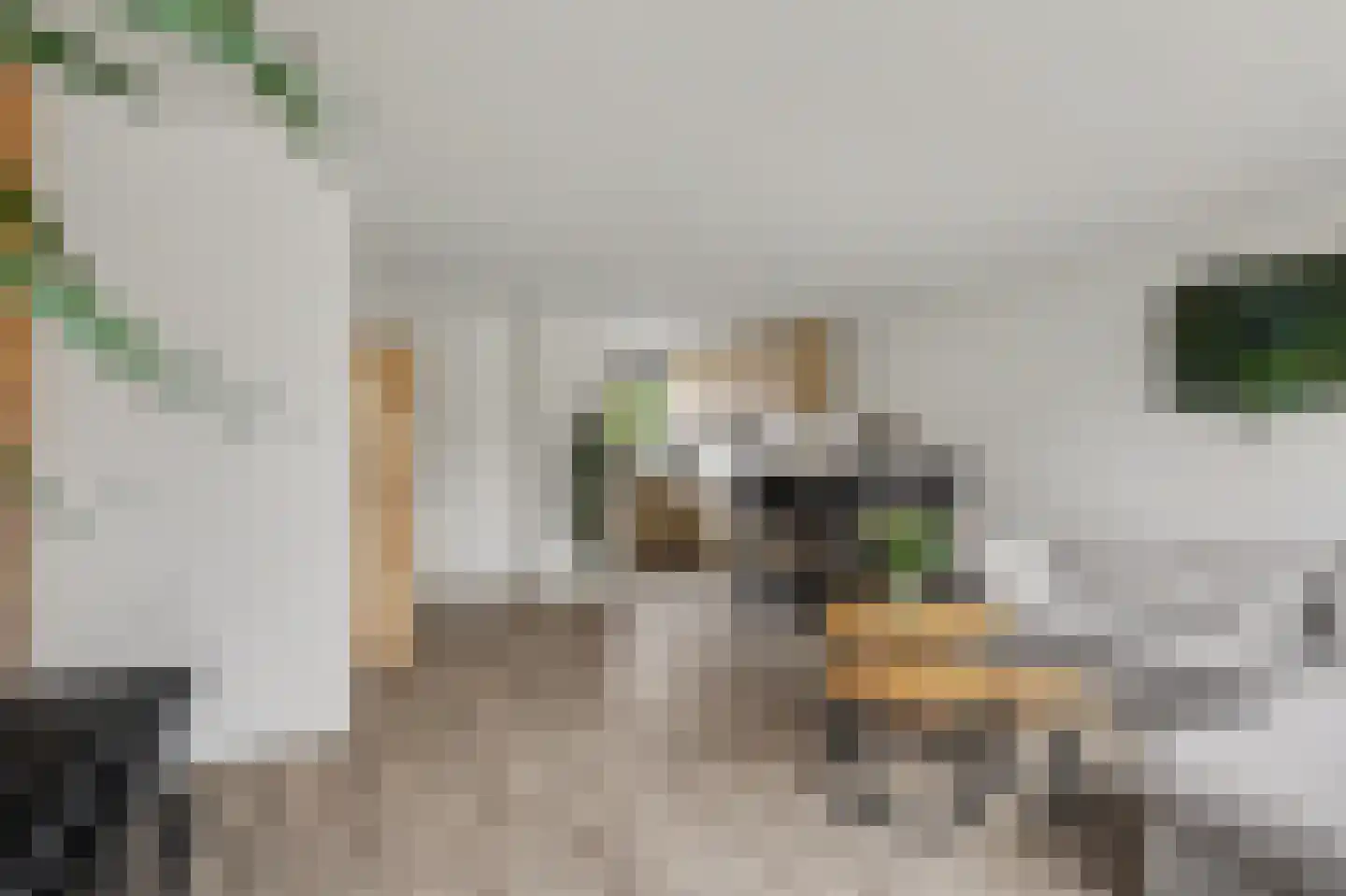 Middenakker 3 Den Hout thumbnail 17