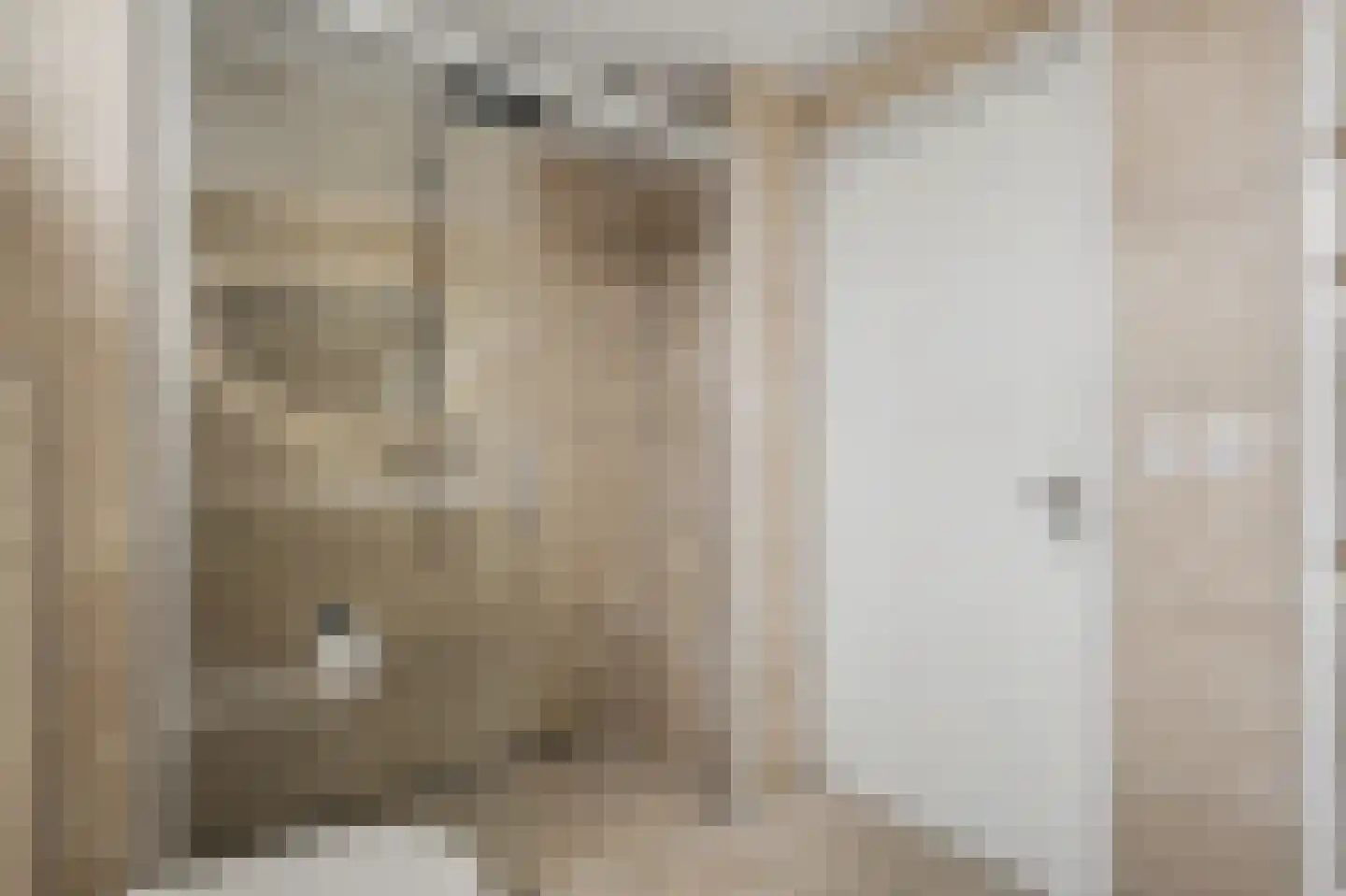Middenakker 3 Den Hout thumbnail 28