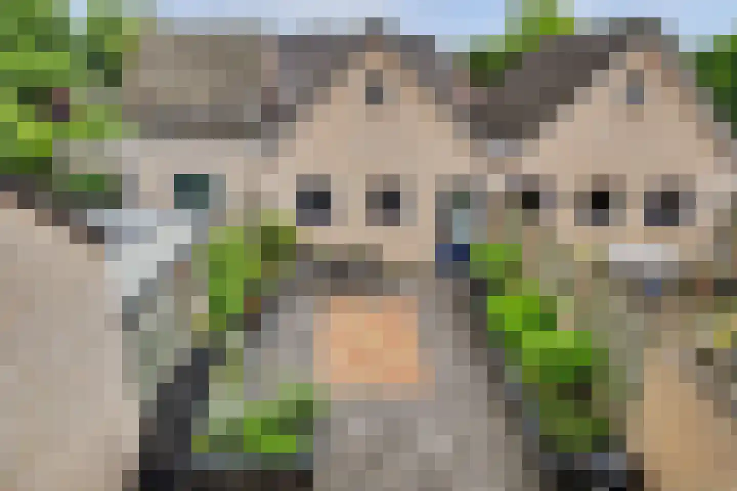 Middenakker 3 Den Hout thumbnail 33
