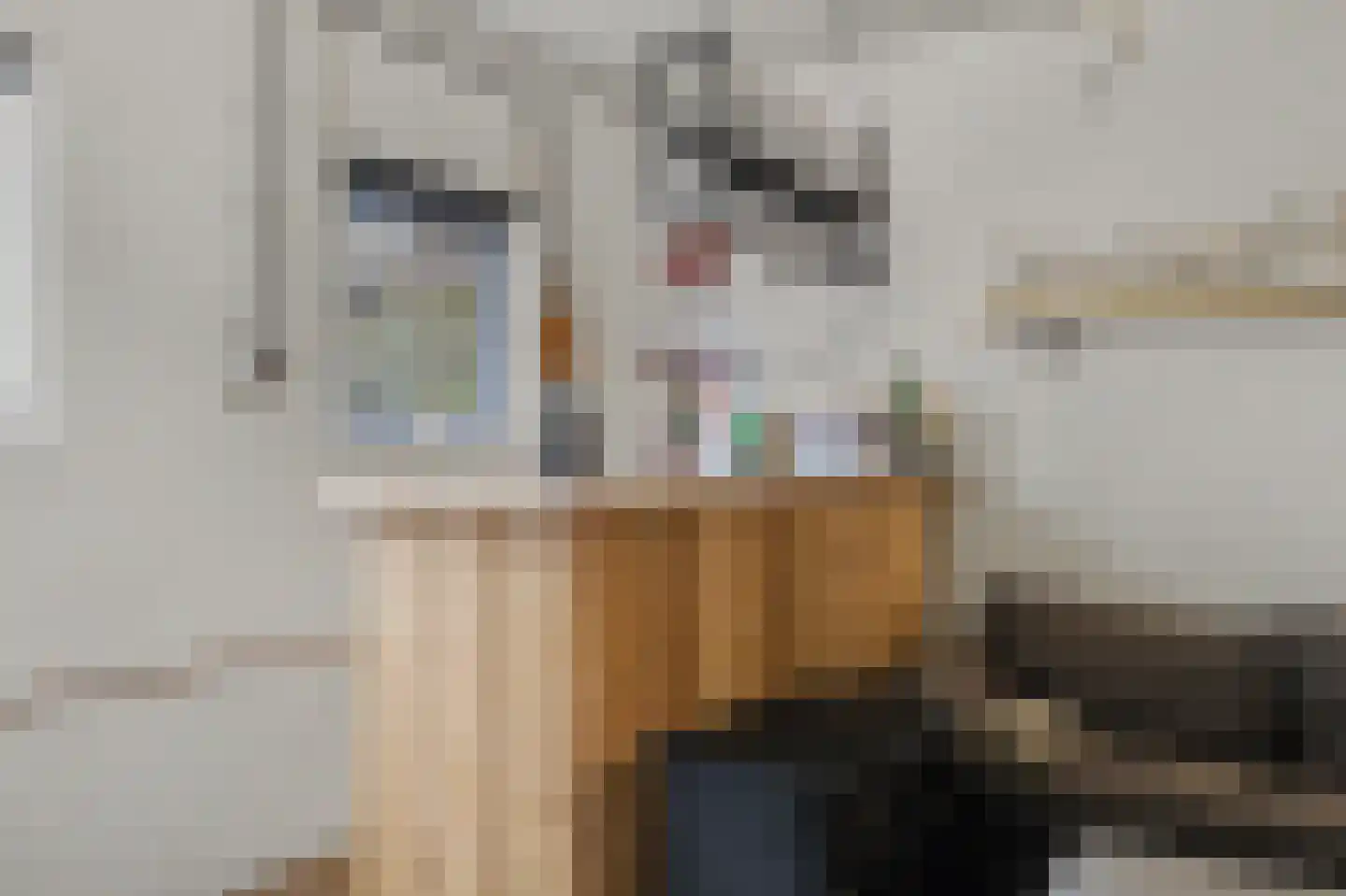 Middenakker 3 Den Hout thumbnail 34