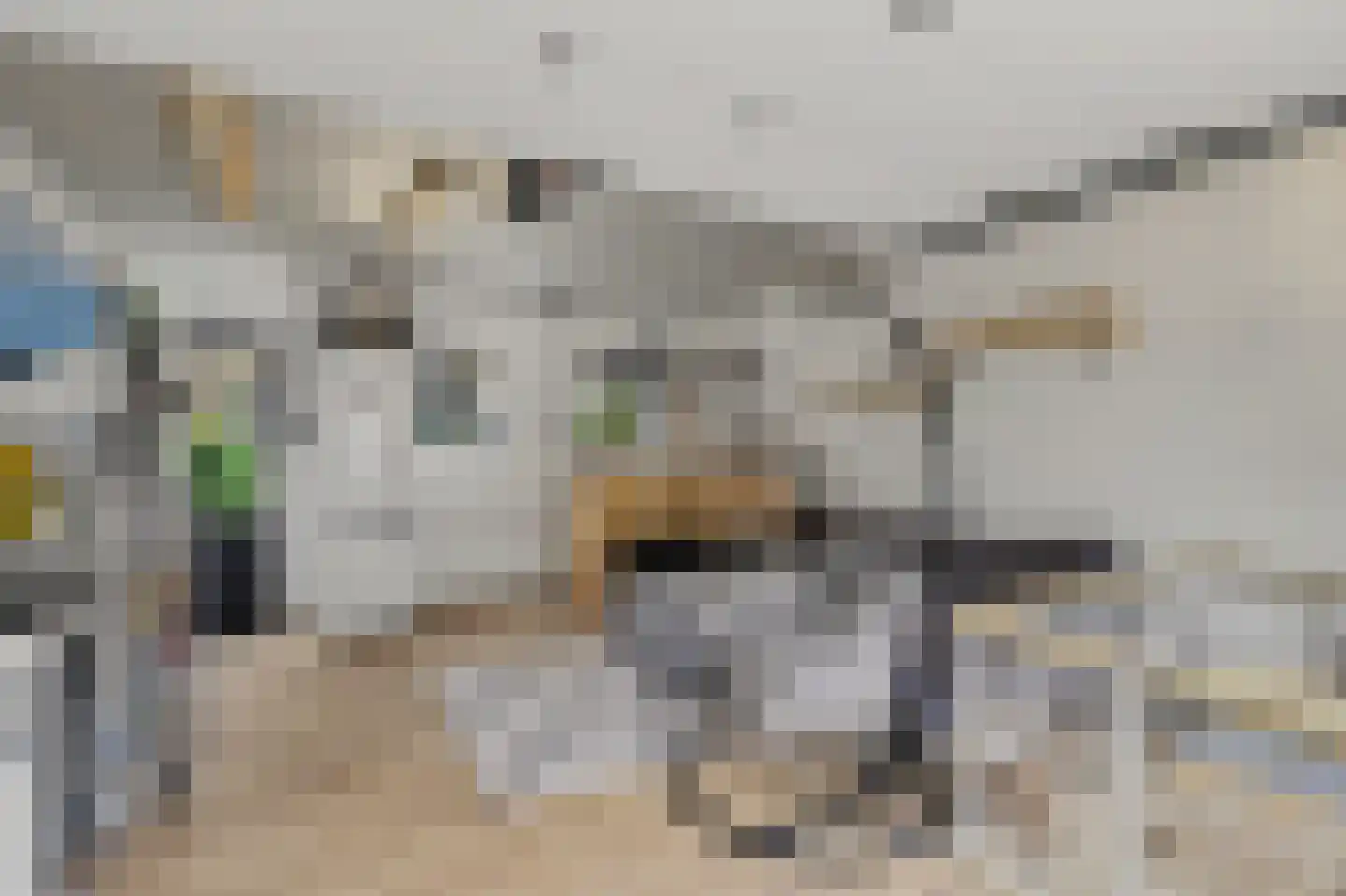 Middenakker 3 Den Hout thumbnail 37