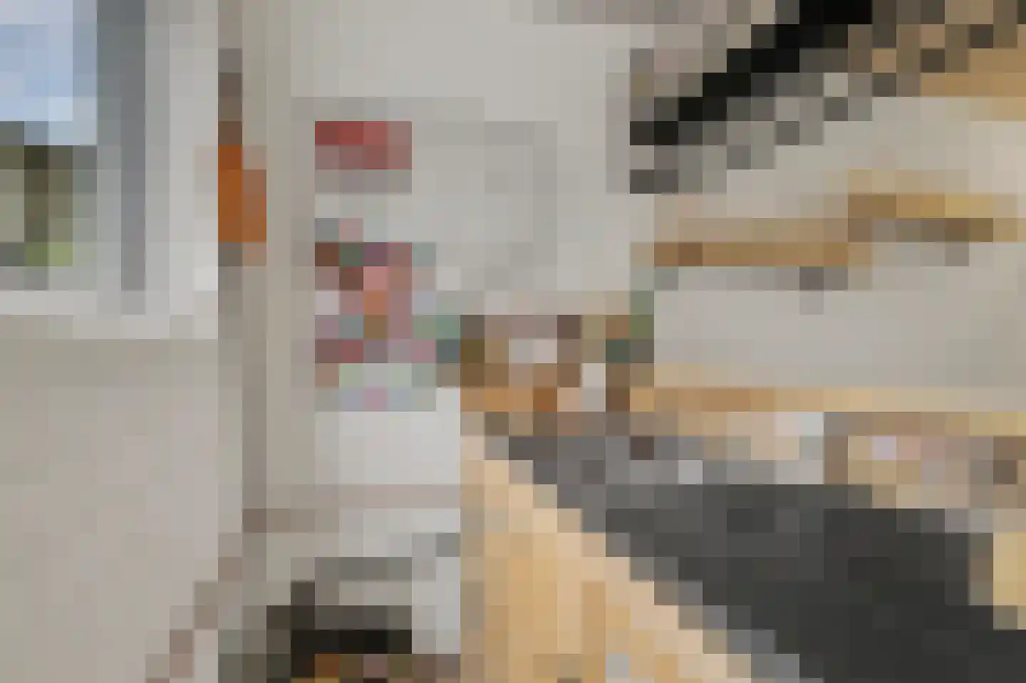 Middenakker 3 Den Hout thumbnail 38