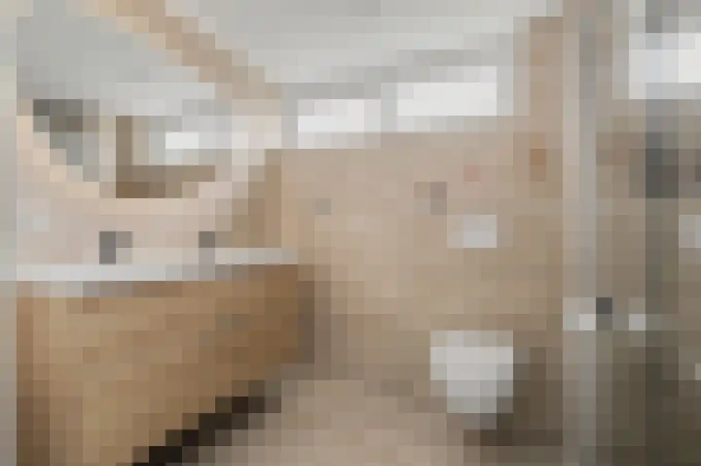 Middenakker 3 Den Hout thumbnail 4