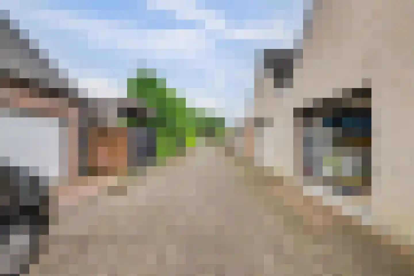 Middenakker 3 Den Hout thumbnail 40