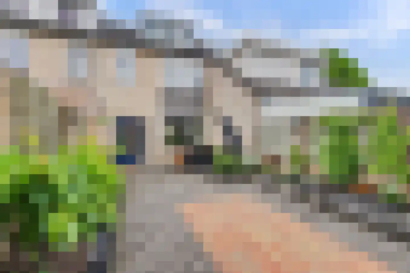 Middenakker 3 Den Hout thumbnail 5