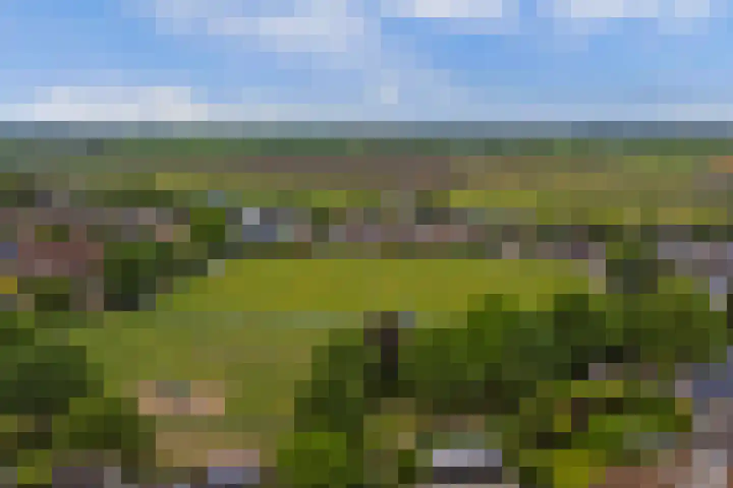 Middenakker 3 Den Hout thumbnail 50