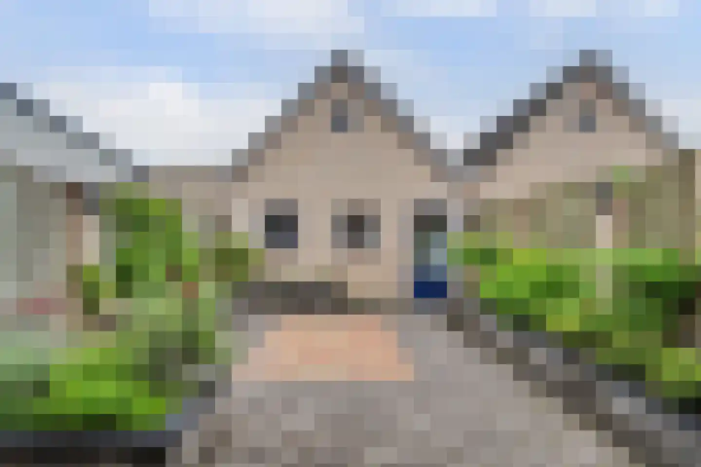Middenakker 3 Den Hout thumbnail 6