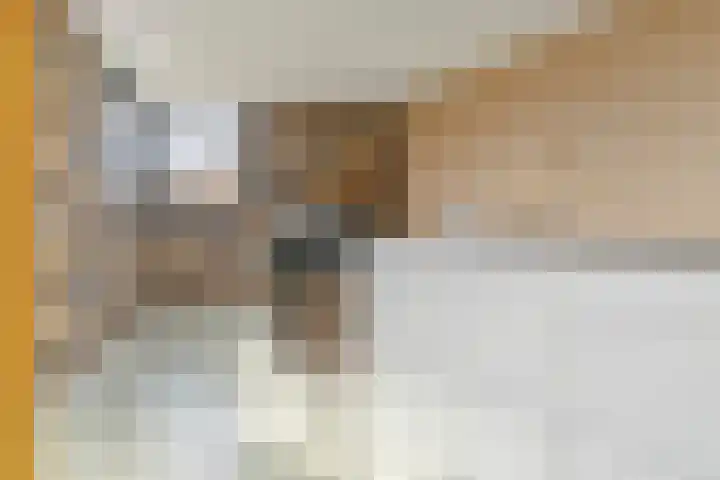 Middenakker 33 Den Hout thumbnail 10