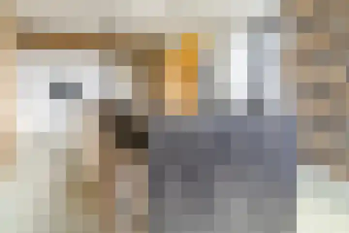 Middenakker 33 Den Hout thumbnail 11