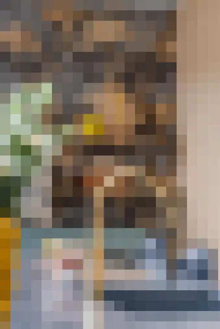 Middenakker 33 Den Hout thumbnail 12