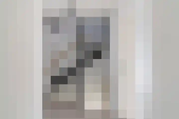 Middenakker 33 Den Hout thumbnail 22