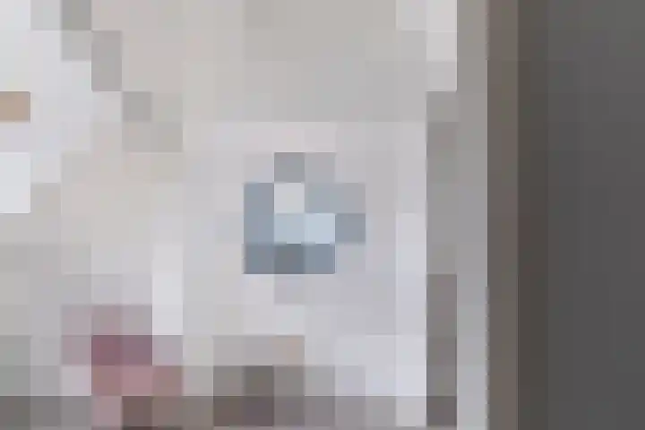 Middenakker 33 Den Hout thumbnail 23