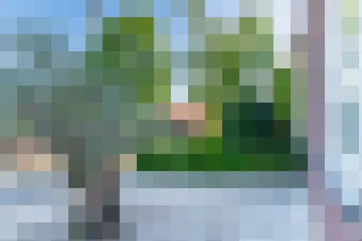Middenakker 33 Den Hout thumbnail 29