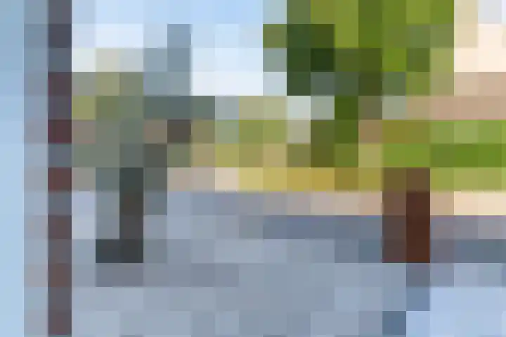 Middenakker 33 Den Hout thumbnail 30