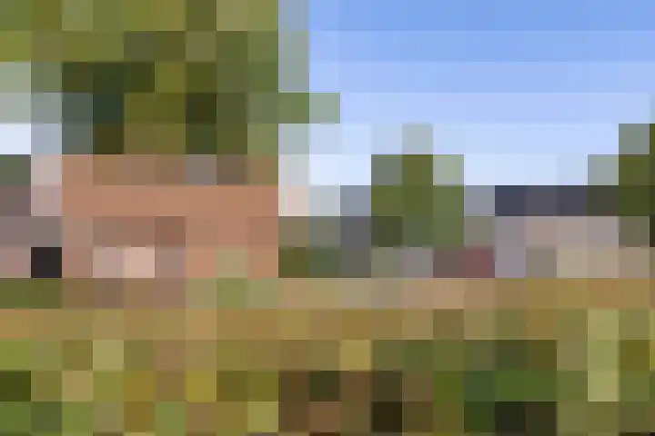 Middenakker 33 Den Hout thumbnail 31