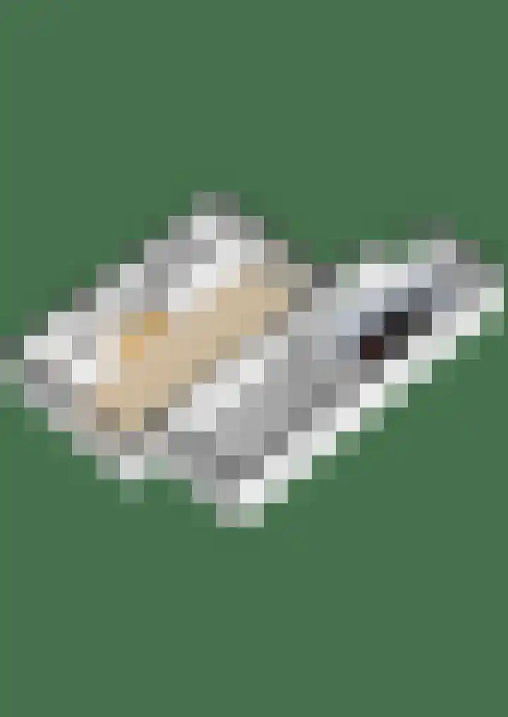 Middenakker 33 Den Hout thumbnail 37