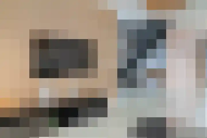 Middenakker 33 Den Hout thumbnail 6
