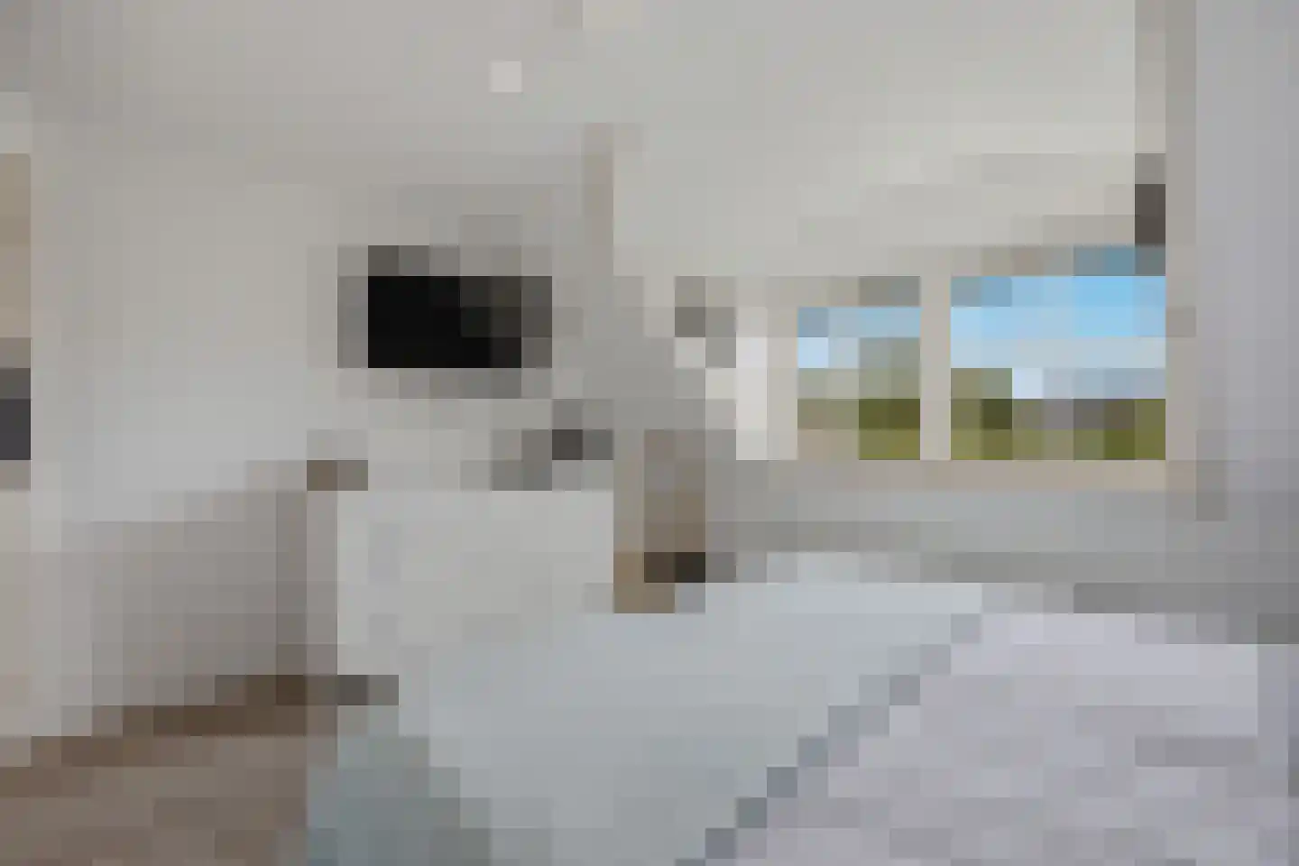 Middenakker 37 Den Hout thumbnail 18