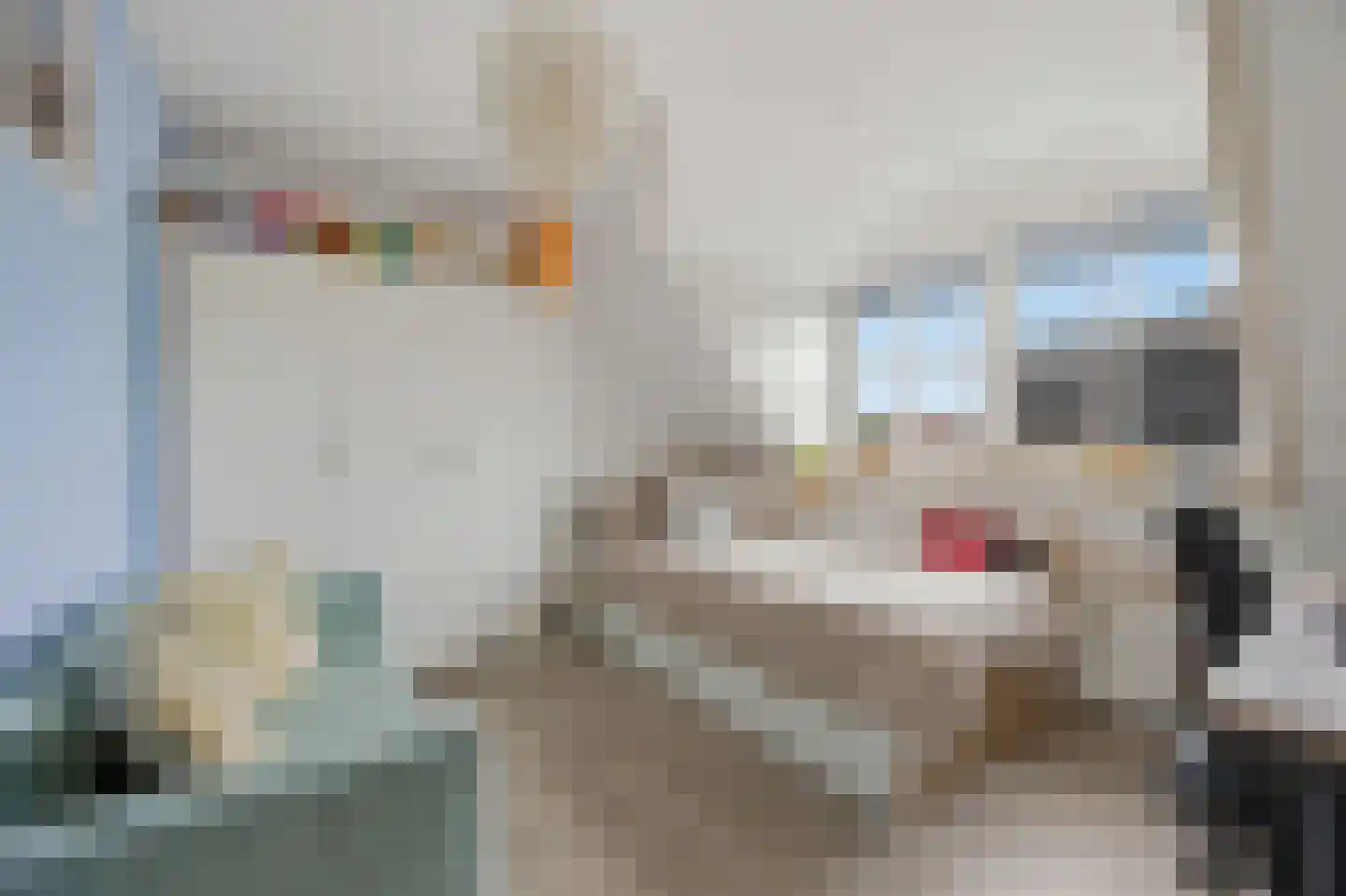 Middenakker 37 Den Hout thumbnail 19
