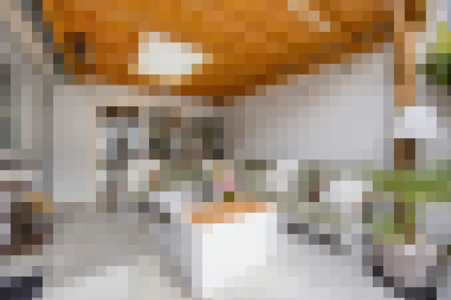 Middenakker 37 Den Hout thumbnail 24