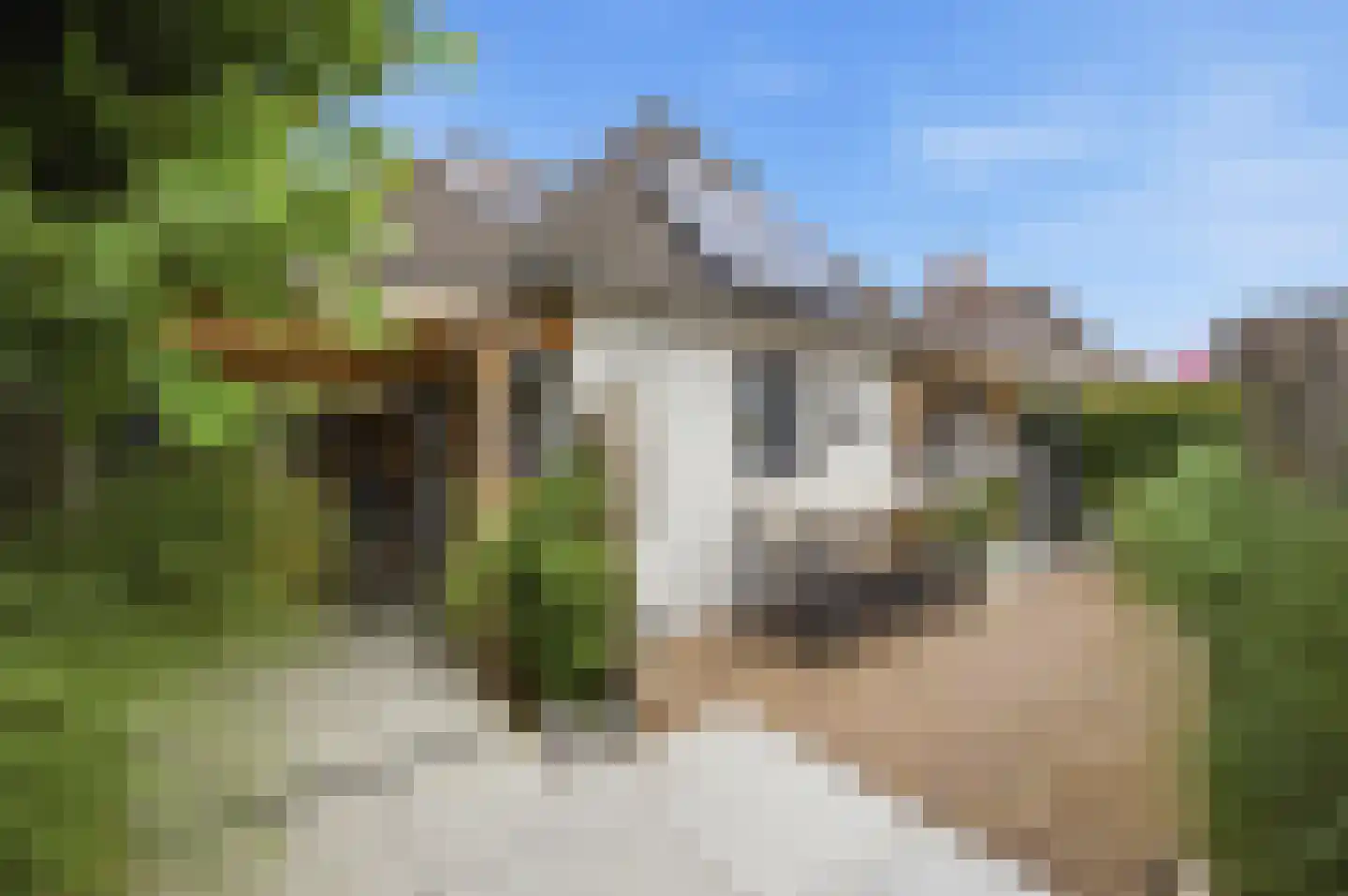 Middenakker 37 Den Hout thumbnail 28