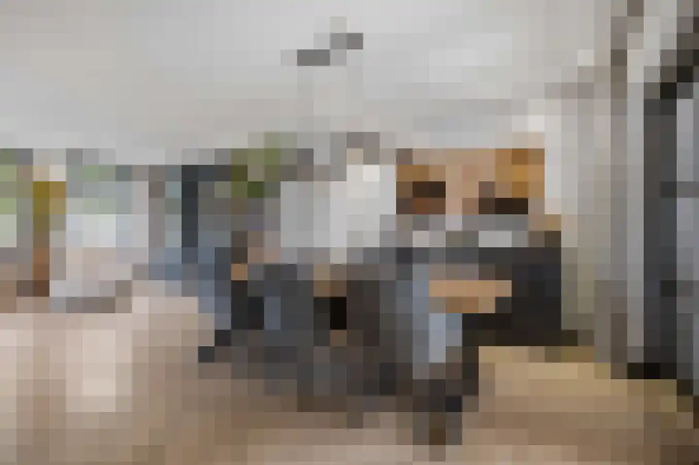 Middenakker 37 Den Hout thumbnail 9