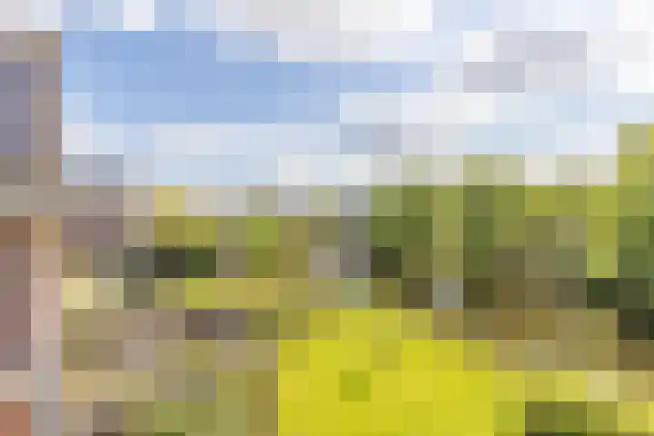 Middenbolder 7 Stadskanaal thumbnail 4