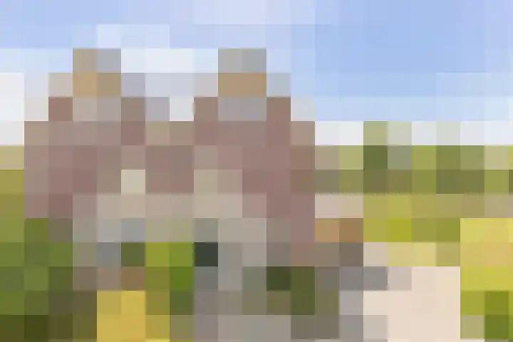Middenbolder 7 Stadskanaal thumbnail 46