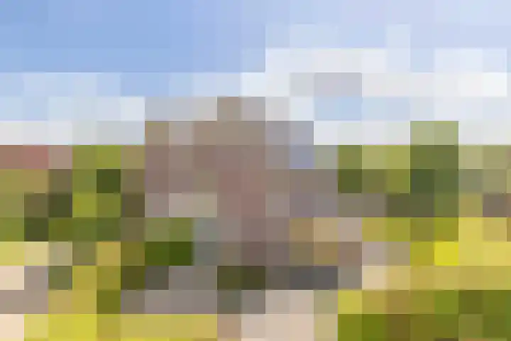 Middenbolder 7 Stadskanaal thumbnail 47