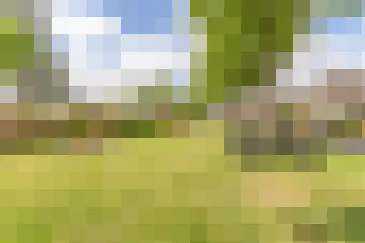 Middenbolder 7 Stadskanaal thumbnail 48
