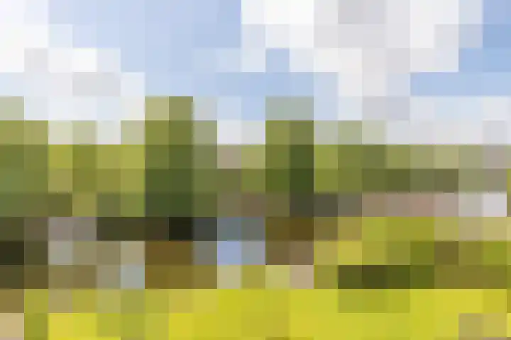 Middenbolder 7 Stadskanaal thumbnail 5