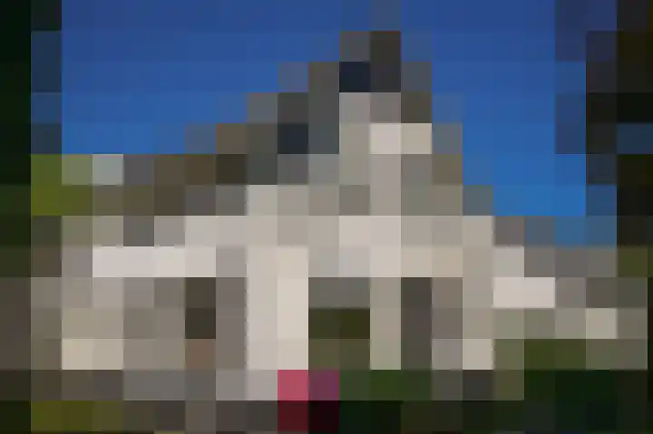 Middendam 10 Alphen thumbnail 30