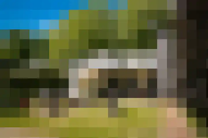 Middendam 10 Alphen thumbnail 31