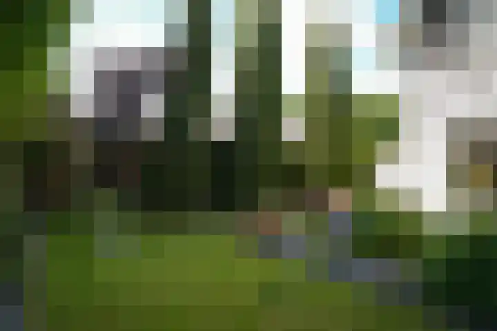 Middendam 10 Alphen thumbnail 41