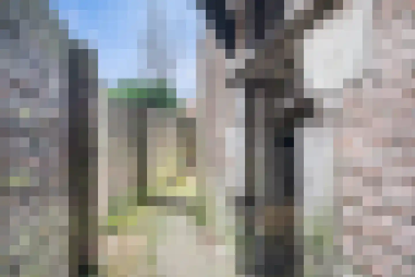 Middendam 3 Monnickendam thumbnail 55