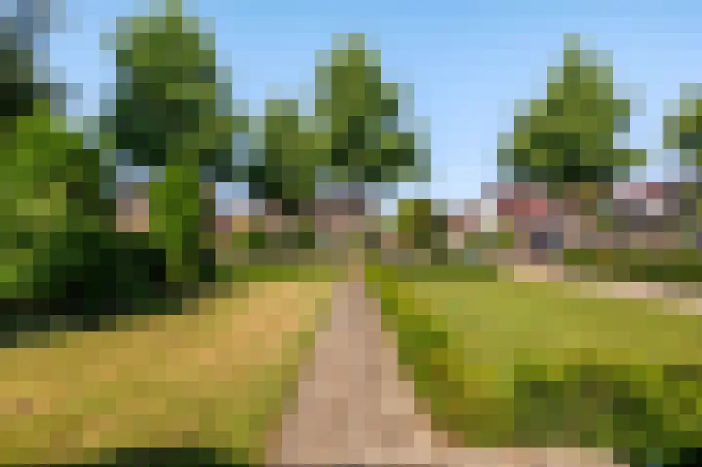 Middendijk 48 Nijbroek thumbnail 7