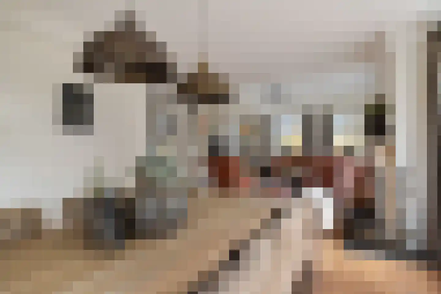 Middendorp 24 Schoonebeek thumbnail 17