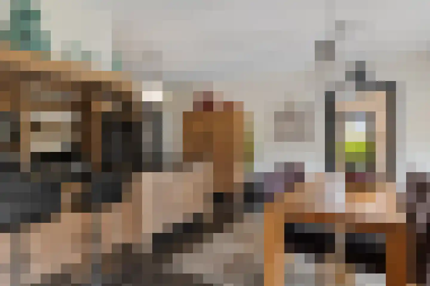 Middendorp 24 Schoonebeek thumbnail 22