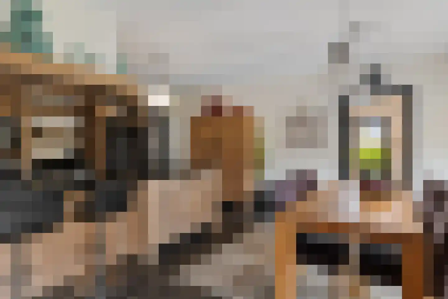 Middendorp 24 Schoonebeek thumbnail 23