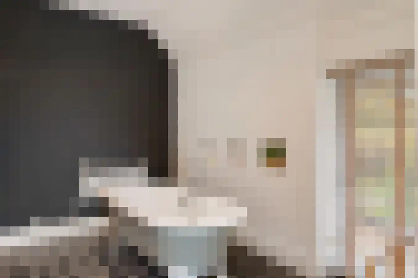 Middendorp 24 Schoonebeek thumbnail 30