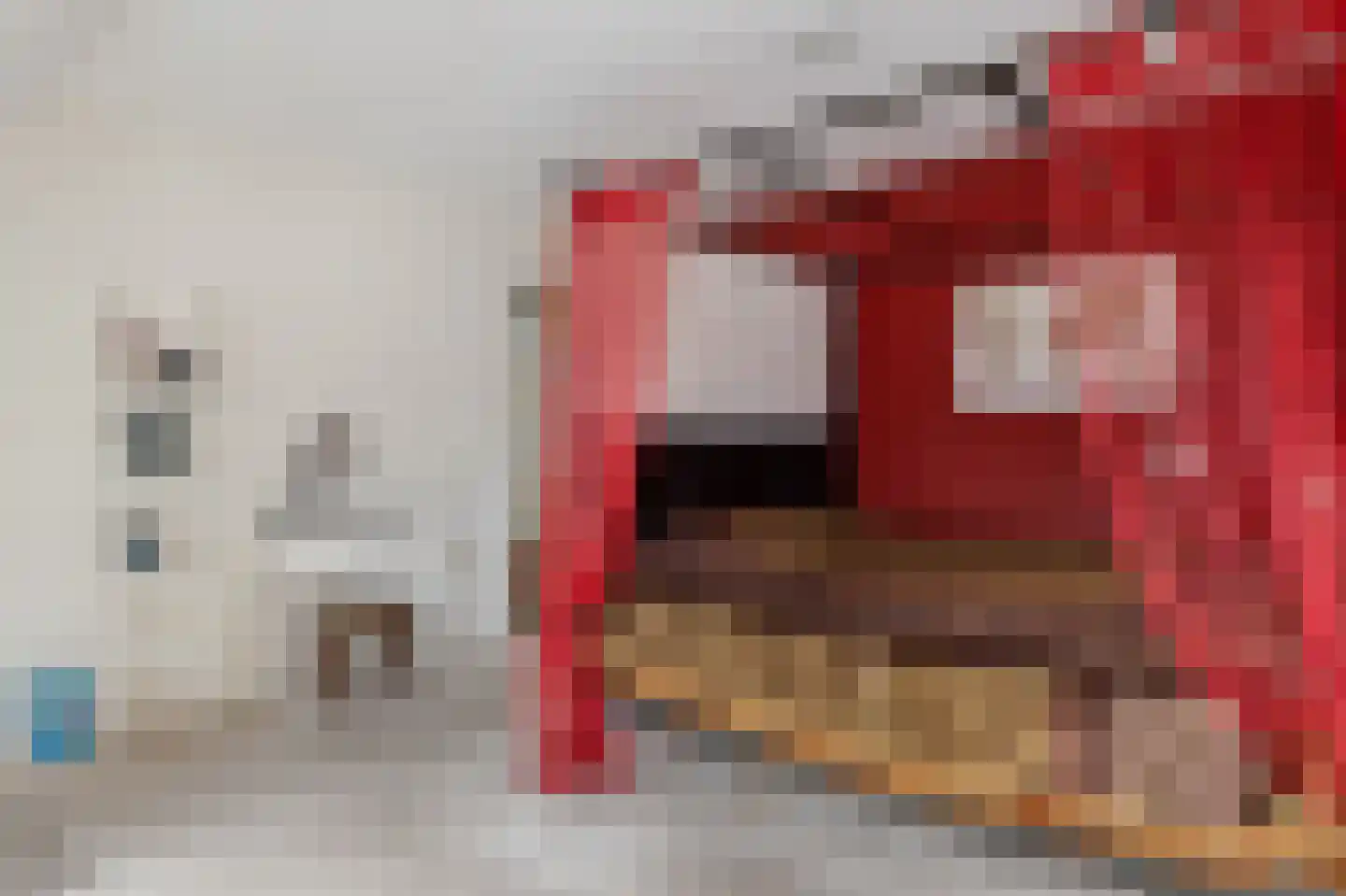 Middendorp 24 Schoonebeek thumbnail 43
