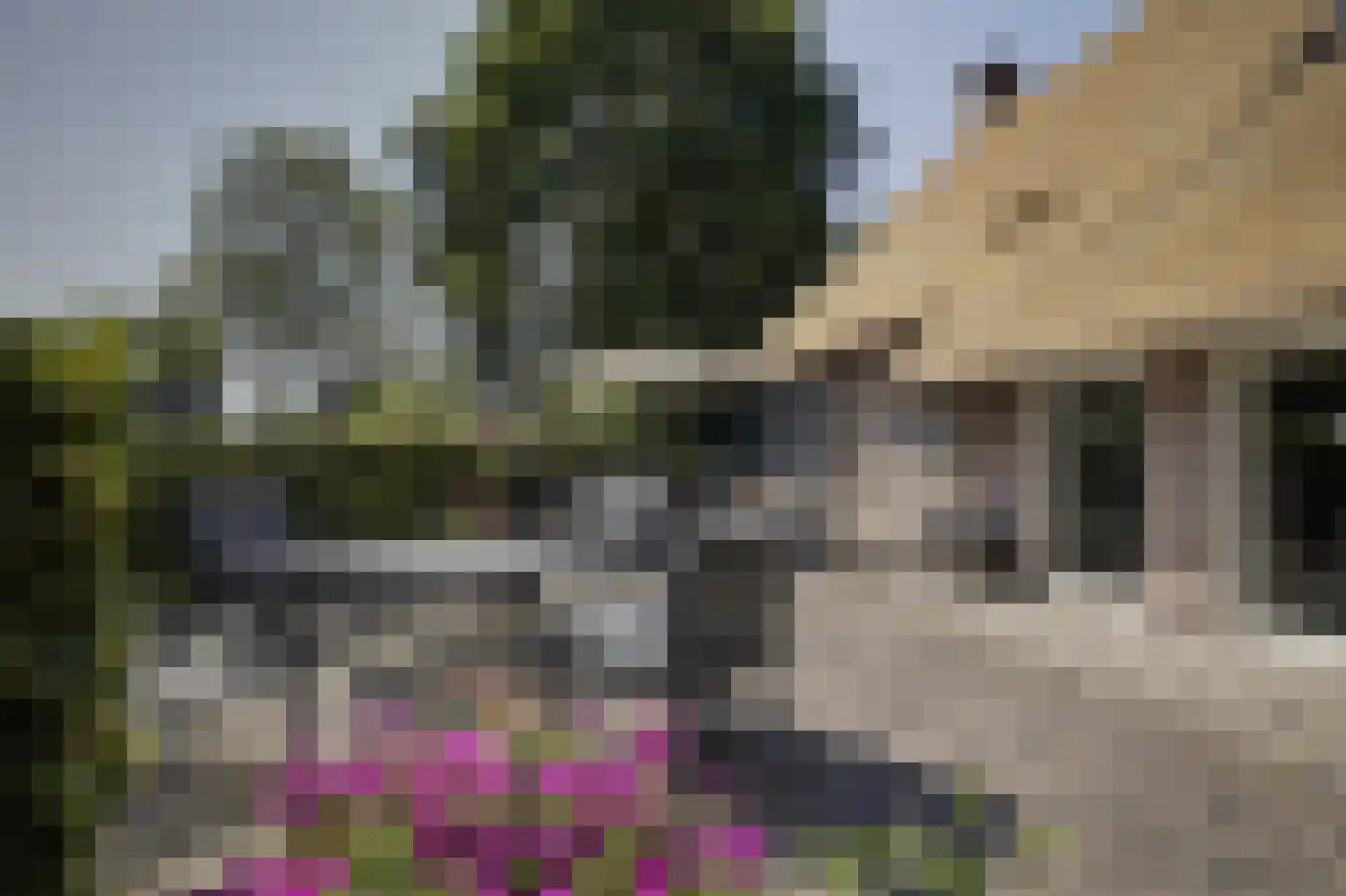 Middendorp 24 Schoonebeek thumbnail 44