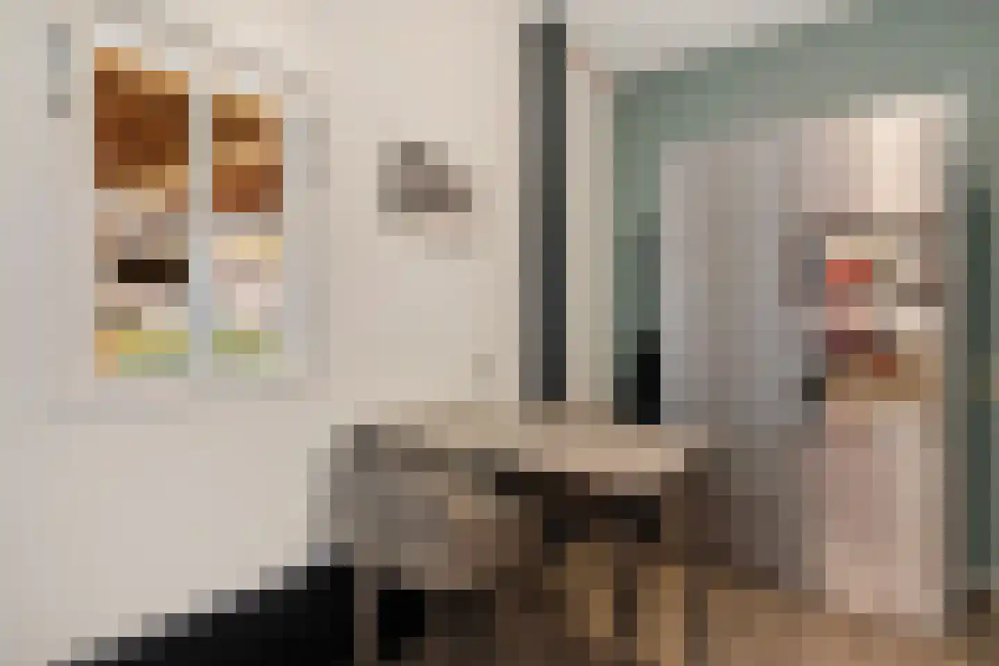 Middendorp 24 Schoonebeek thumbnail 46